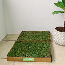 Load image into Gallery viewer, The Grass4Paws real grass patch for dogs weighing 15-30 lbs.  It can also be used for multiple small dogs inside or on an apartment balcony.
