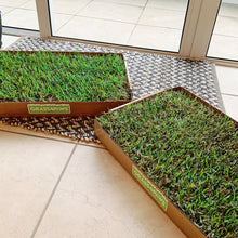 Load image into Gallery viewer, Our fresh grass patches can be used inside or on your patio because real grass absorbs odors naturally unlike artificial grass or pee pads.
