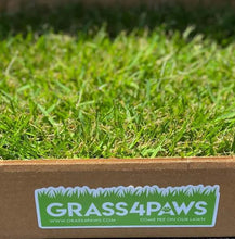 Load image into Gallery viewer, Fresh Grass4Paws potty patch for your dog.
